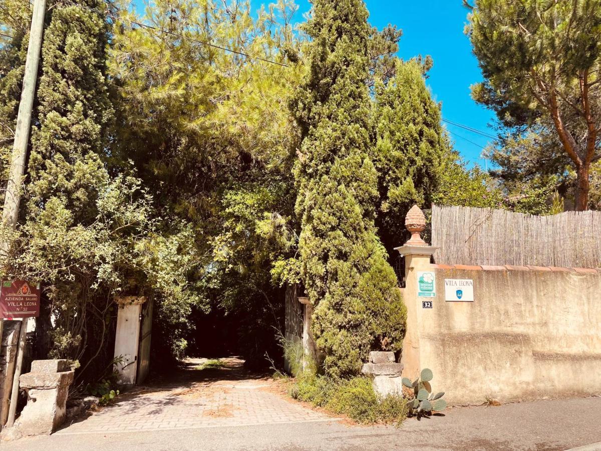 Villa Leona Clim Park Bollène Zewnętrze zdjęcie
